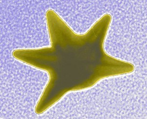 A gold nanostar particle, image by Antony-22 for Wikimedia